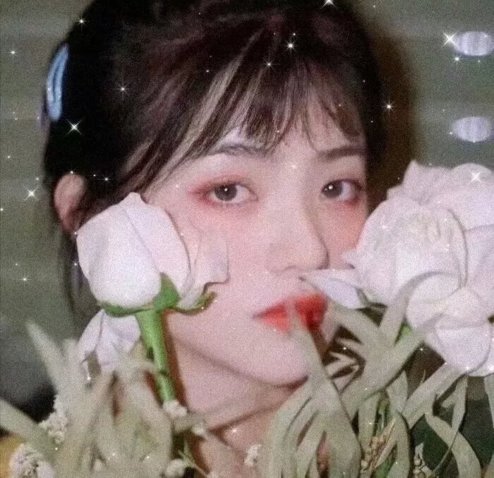 凉宫春日的忧郁